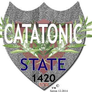 University Of Catatonic State